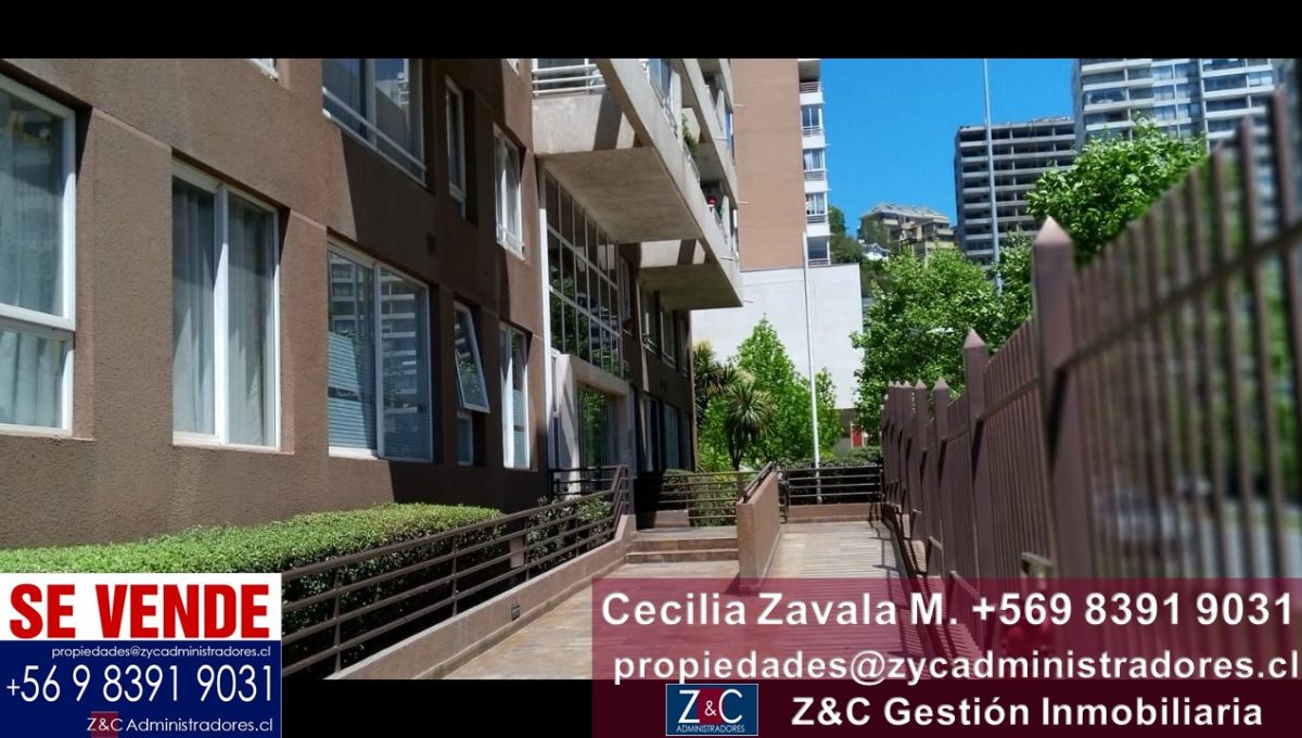 Diapositiva4