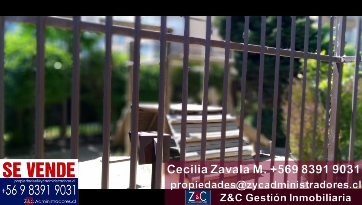 Diapositiva7