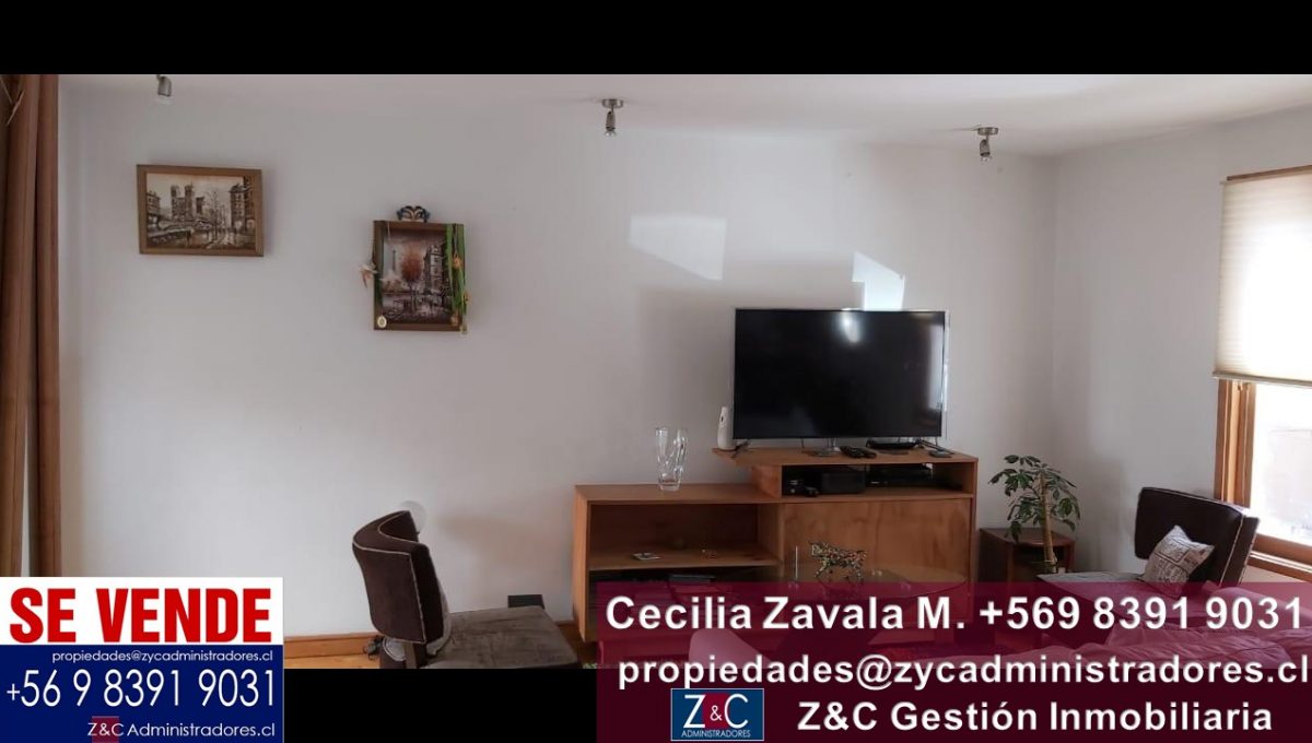 Diapositiva14