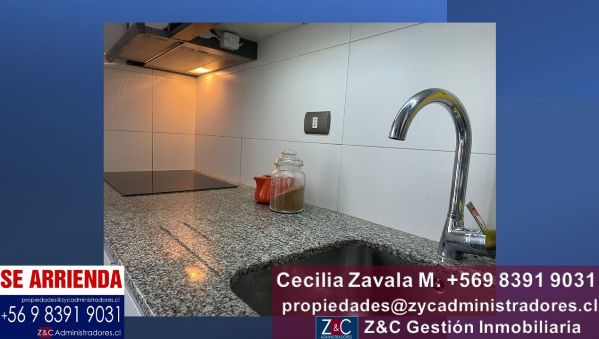 Diapositiva13