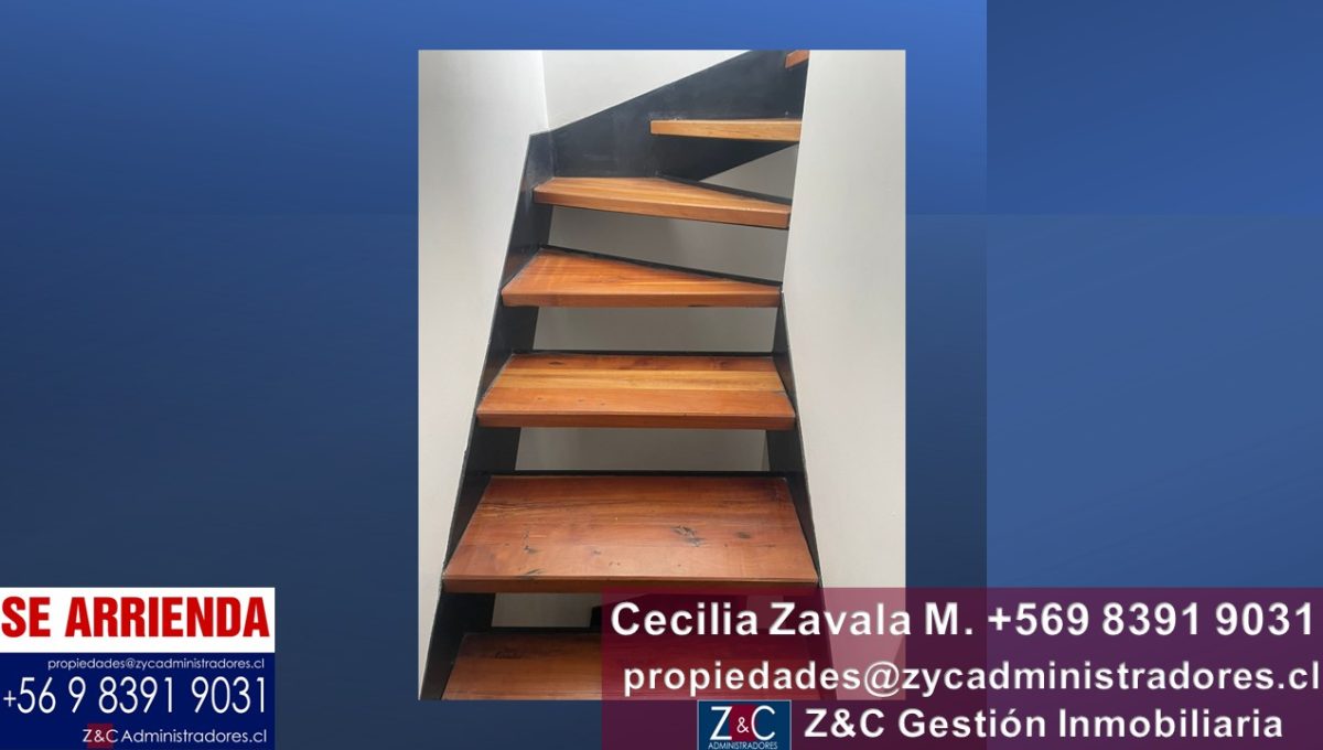 Diapositiva15
