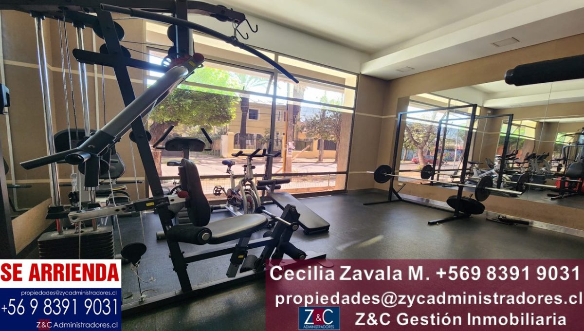 Diapositiva13