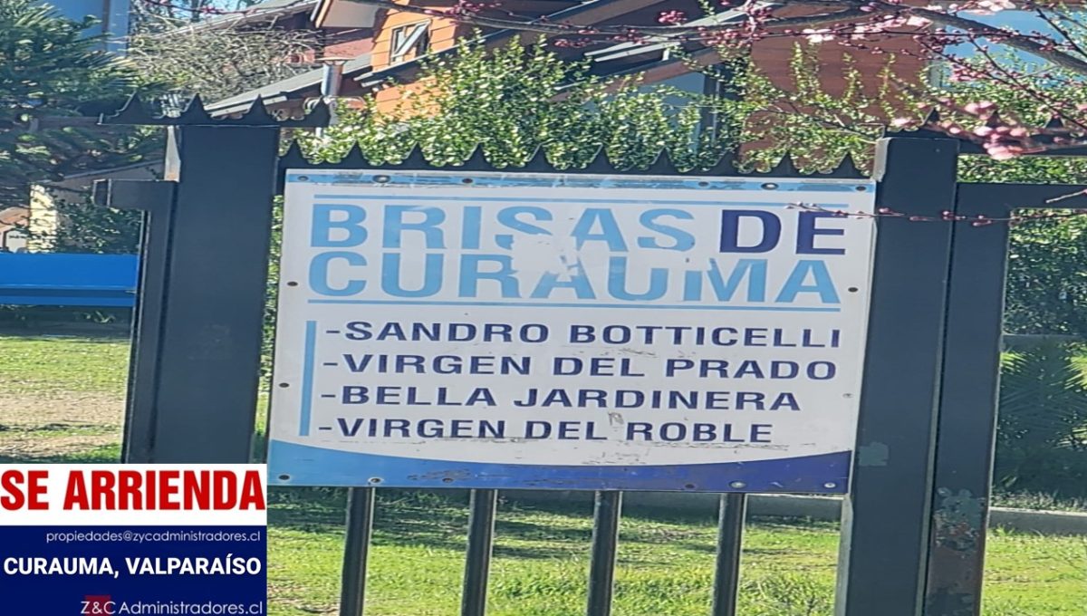 Diapositiva17